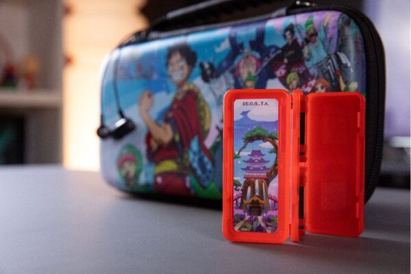 Pack Accessoires Switch One Piece